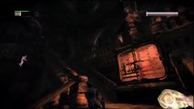 Batman arkham city - Catwoman goes after Puke Face