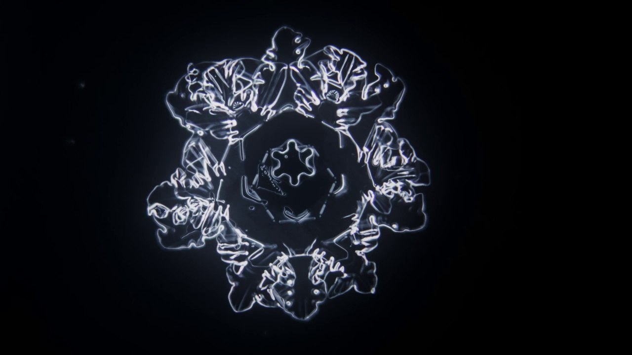 Snowflake Come To Life