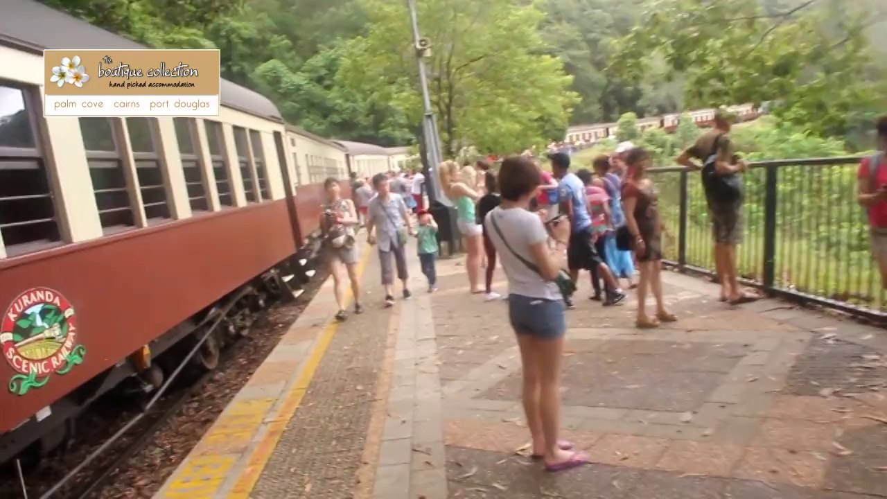 Barron River Falls – Cairns Barron River Falls Train