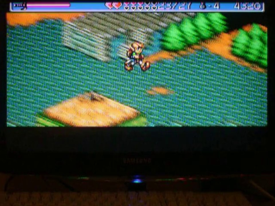 Landstalker -6 La crypte