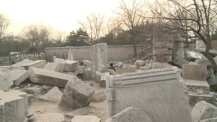 اعمدة القصر الصيفي في قلب جدل حول تراث الصين "المفقود"