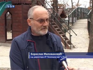 Borski Zoološki vrt sve posećeniji, 25. februar 2014.