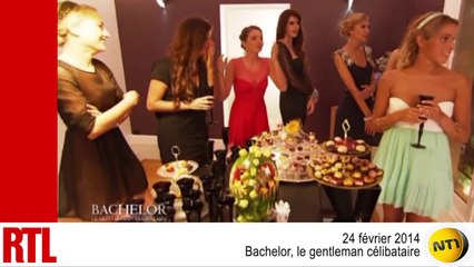 Video Le Retour Du Bachelor Le Gentleman Celibataire Sur Nt1 Video Dailymotion
