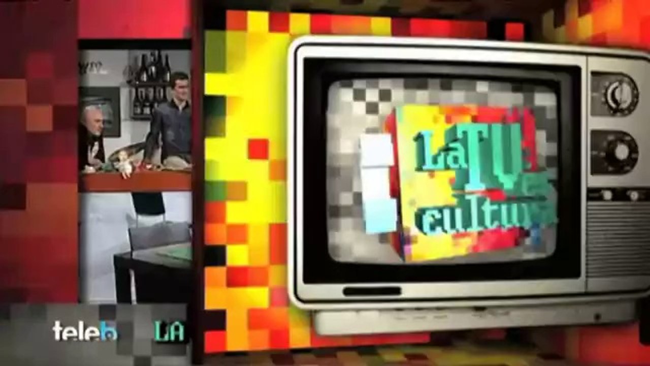 TV3 - Alguna pregunta més? APM - "La televisió és cultura", amb Josep Maria Mainat