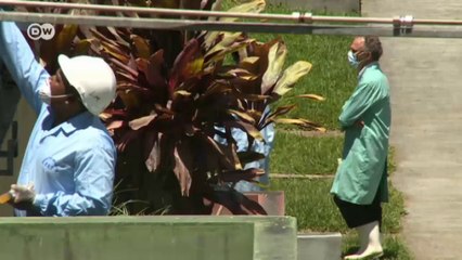 Especies invasoras | versión corta |