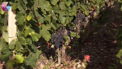 BORDEAUX -VINIPRO - le Salon de la nouvelle génération de Consommateurs