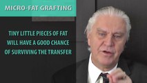 WHAT IS MICRO FAT GRAFTING?