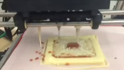 l'imprimante à Pizza de la NASA progresse