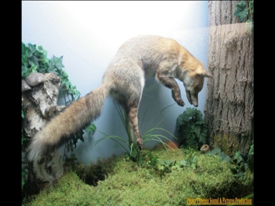 Guécélard + ballade CAP72( Club Auto Passion) 23-fév-14