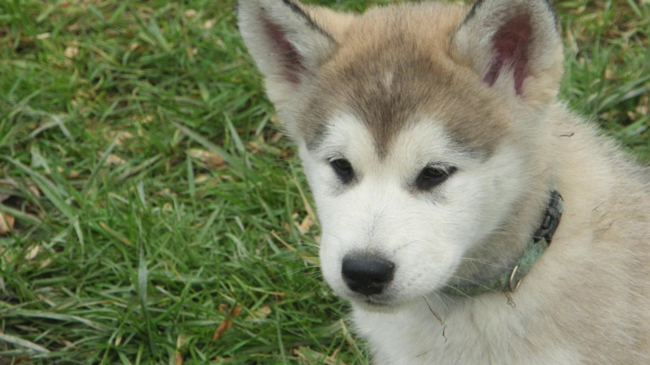 6 eme sem des ty laouen