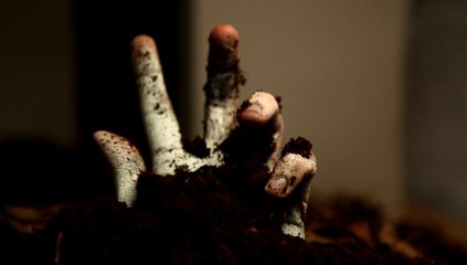 Making of de la couverture du Science et Vie Junior spécial Zombie