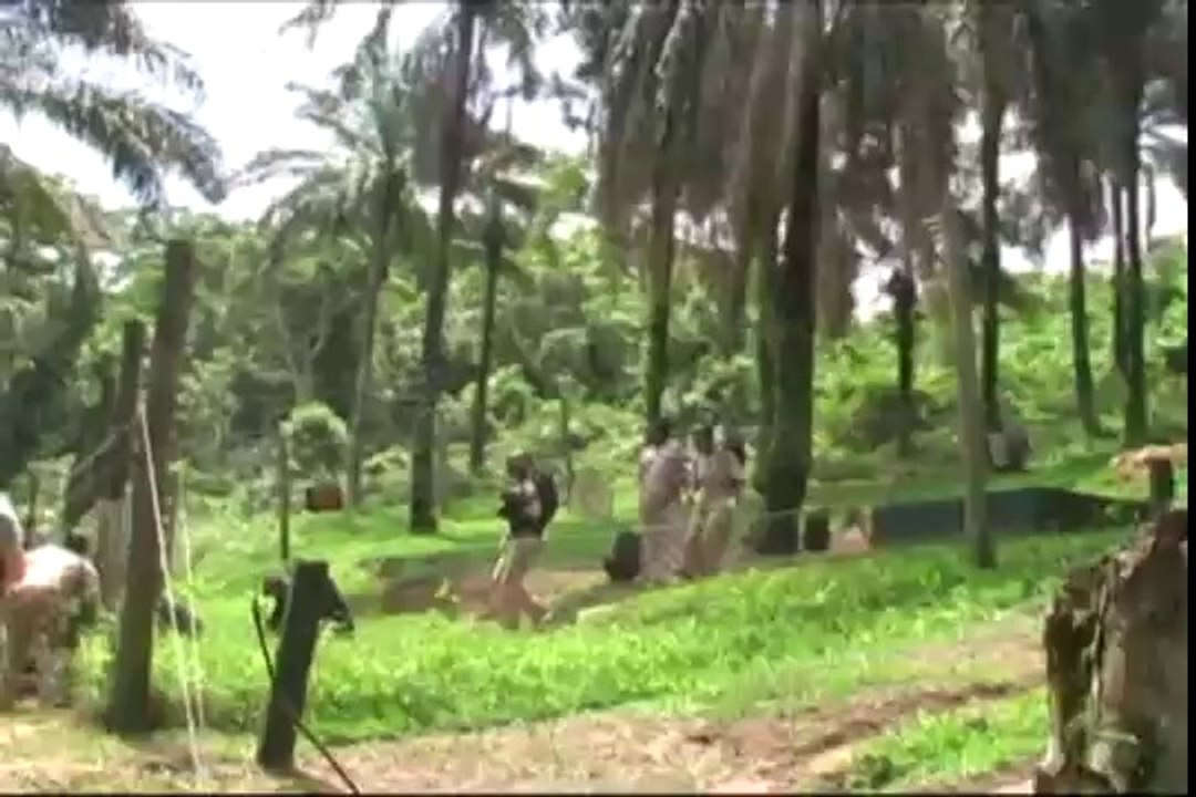 Des bonobos à Science et Vie Junior - Episode 2