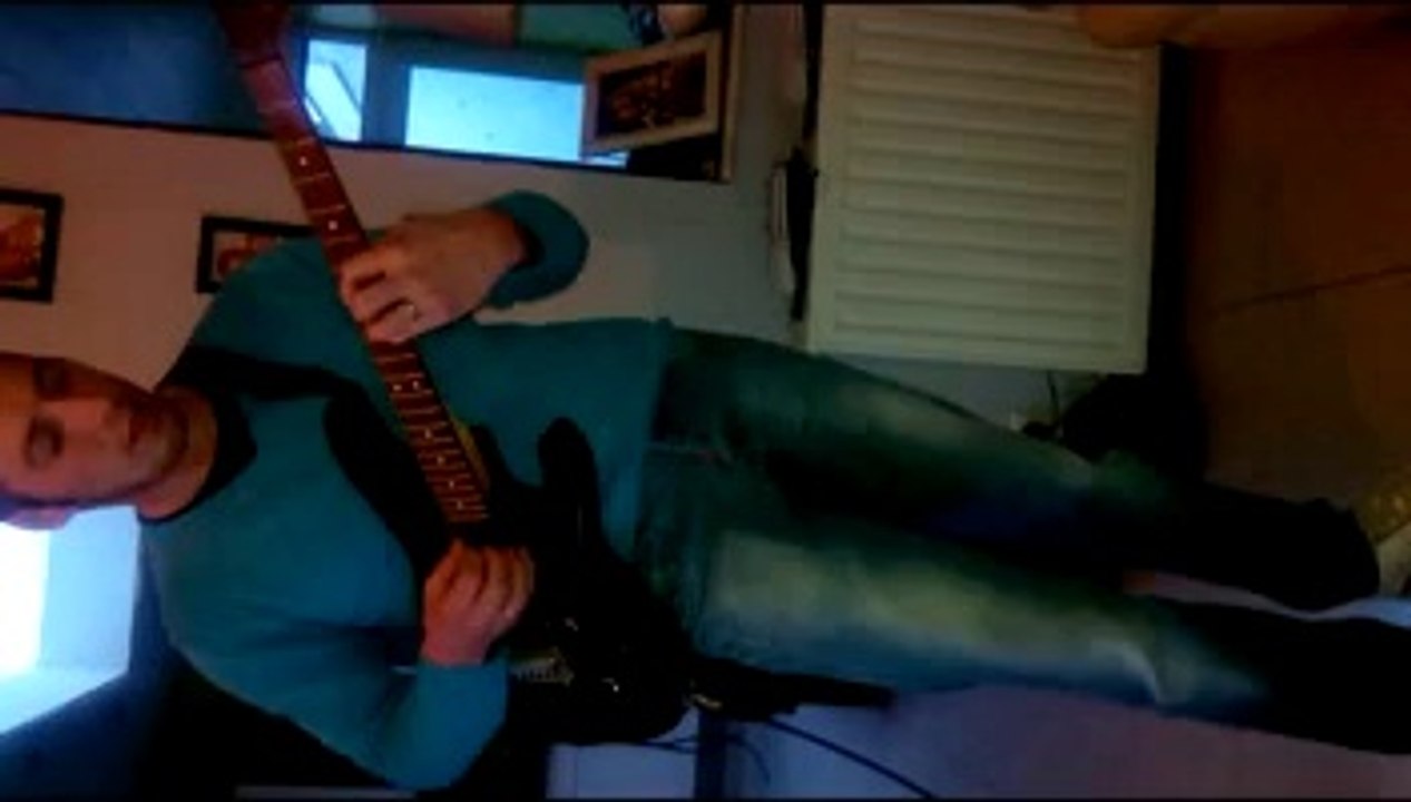 repet flipper