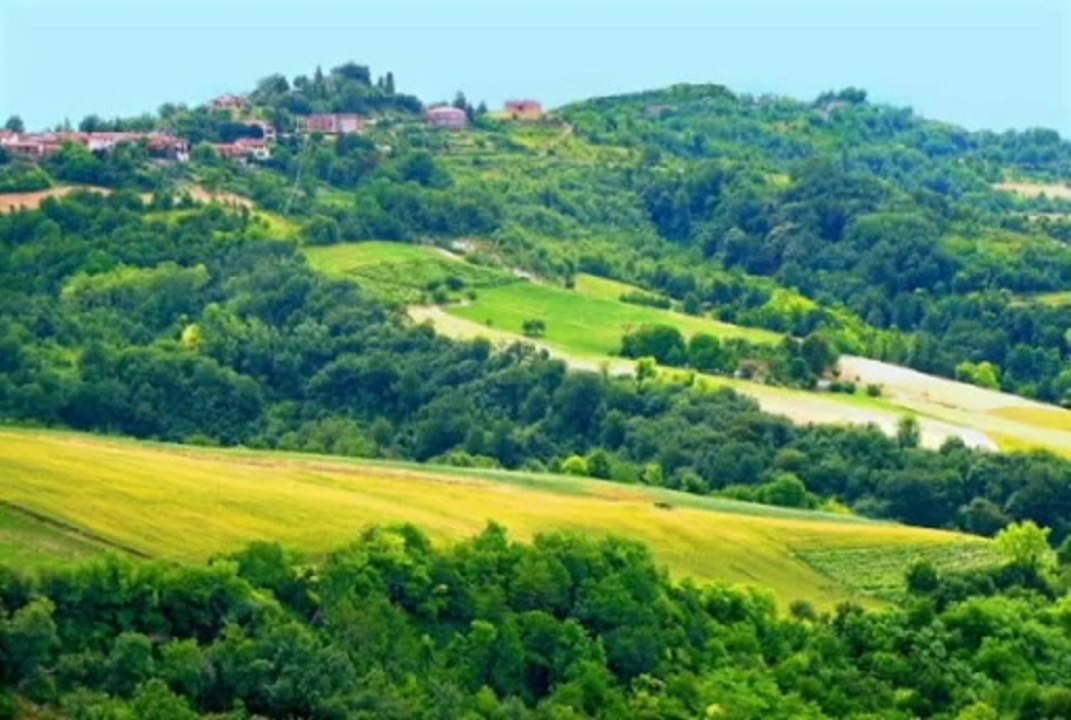 Fatoş ÇAL  -  Aman Aman