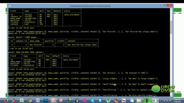 15. Advance php in Urdu - Populating Pages table
