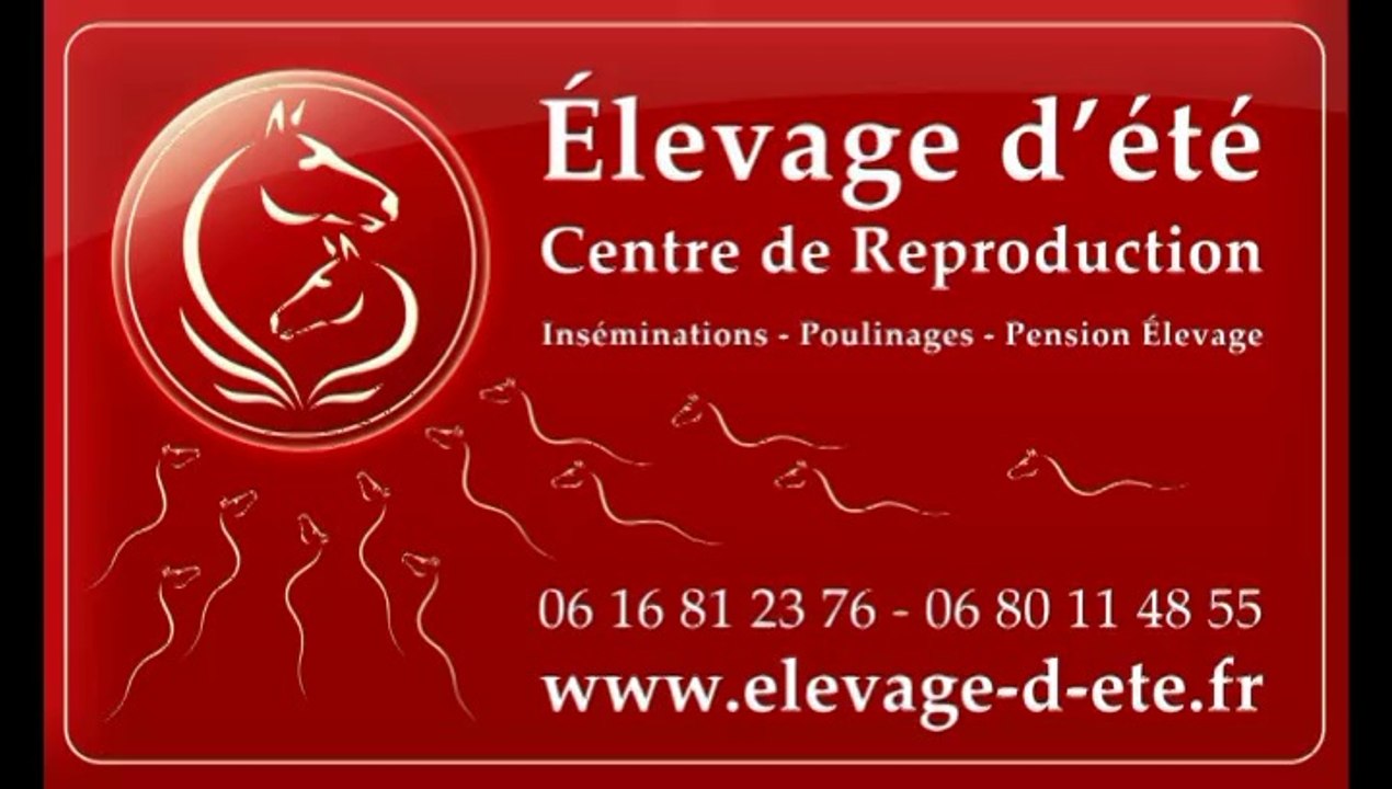 Crack 1ers sauts
