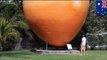 Giant 30-foot-tall mango tourist attraction stolen from small Australian town