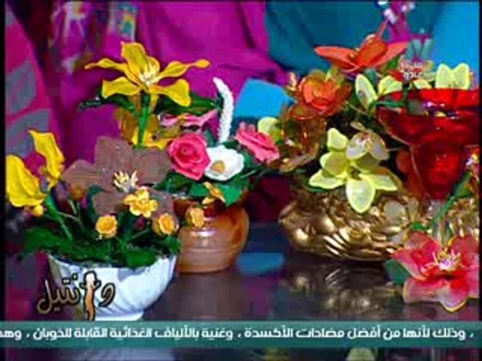 interview TV