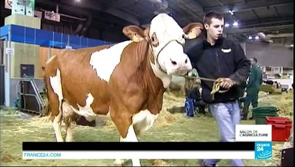 FOCUS - 2014-02-25 21:21 FOCUS