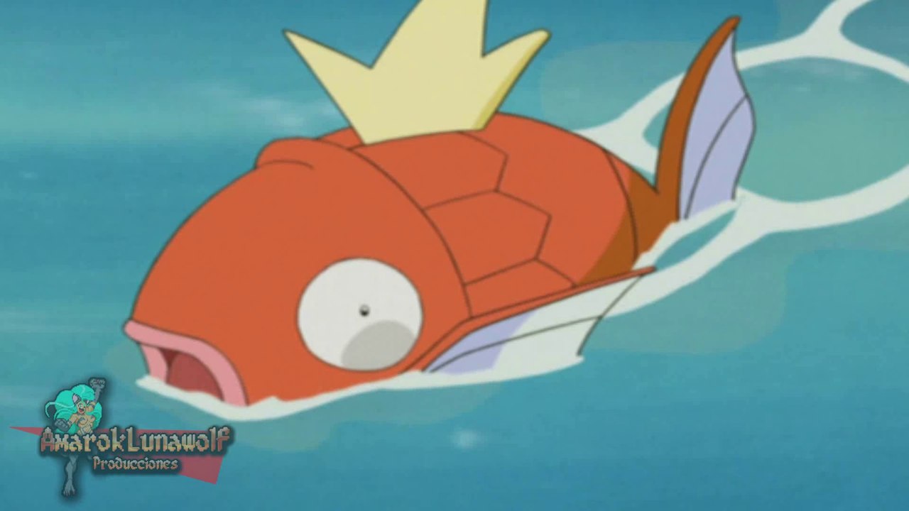 Feli says: MAGIKARP!! :D