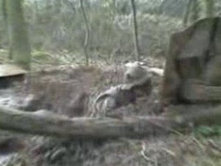 T.I.S. premiere Séquence courte