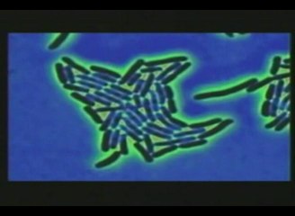 A Poisoned World - Pt 38 - Monsanto Extinction
