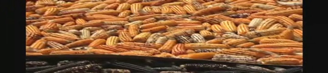 A Poisoned World - Pt 39 - Monsanto Rise of the Tyrant