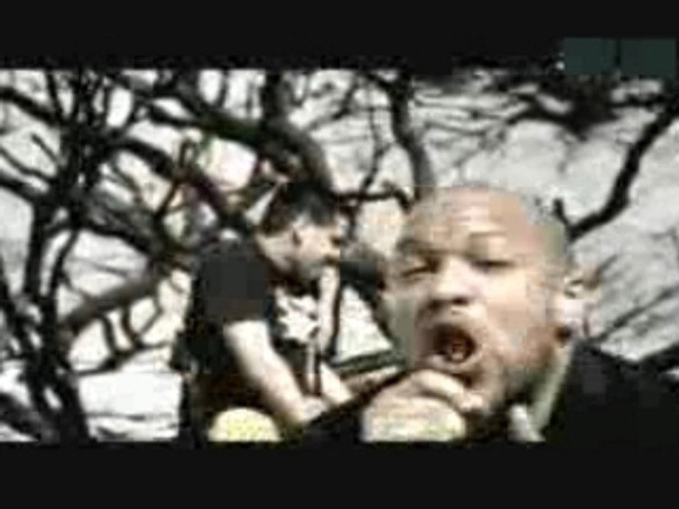 killswitch_engage-rose_of_sharyn
