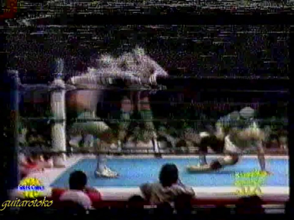 hulk hogan,antonio inoki - el canek,andre' the giant