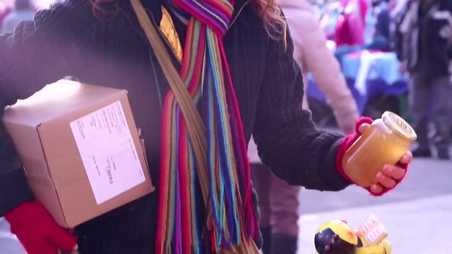 Les abeilles meurent dans les Pyrénées Orientales, le saviez-vous?