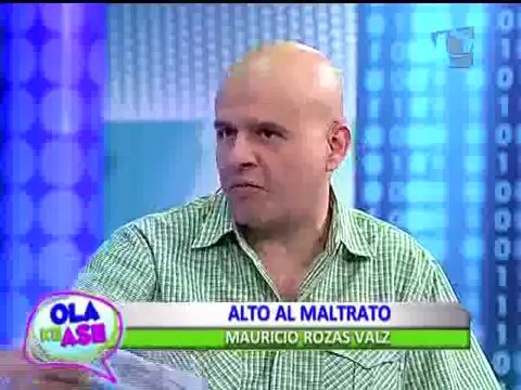 Campaña 'Alto al Maltrato': estas mascotas necesitan un nuevo hogar