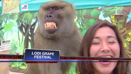 Best News Bloopers September 2013