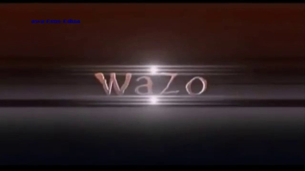WAZO 1-1