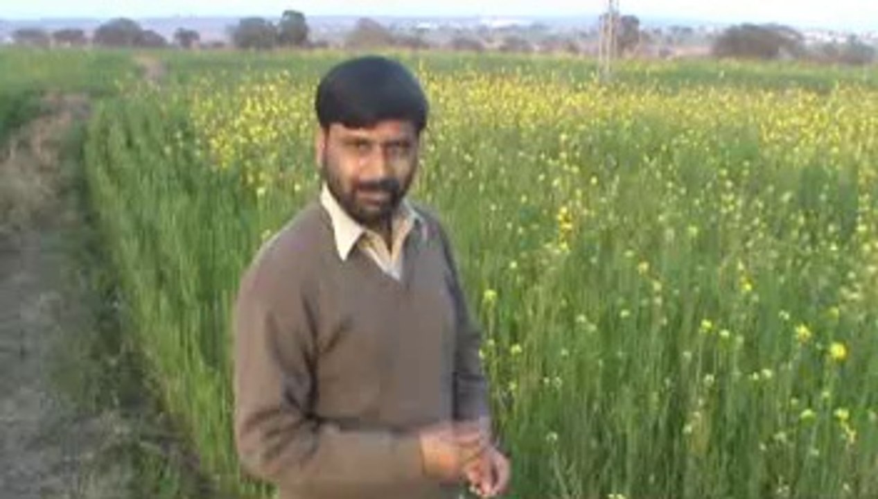 pothwar kay phool by Abdul jabbar