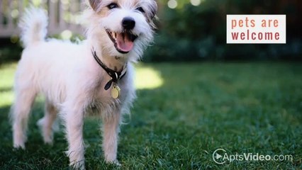 The Haven at Market Square Apartments in Frederick, MD - ForRent.com