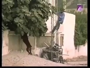 Arab Having Fun With Dog