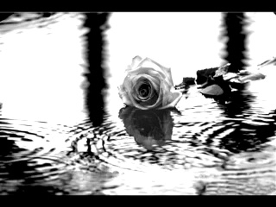 Hasan Işakkut - Why (Violin Version)