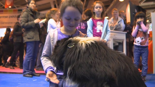 Salon de l'agriculture : le syndicat des vétérinaires