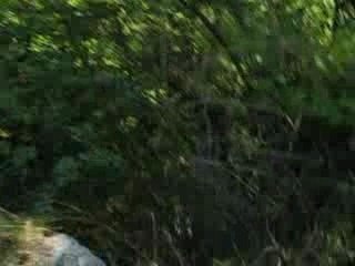 Tres grosse gamele en caddie:5m de chute