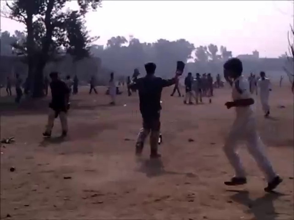 local cricket