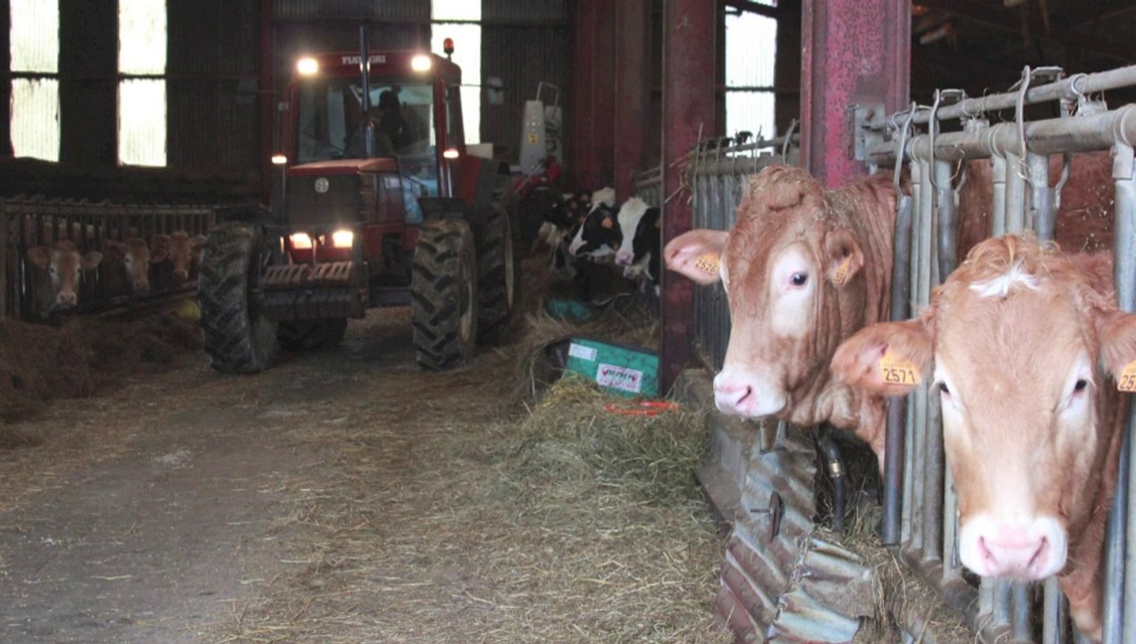 Portrait de Sébastien Béthouart, élu maire d'Airon-Saint Vaast