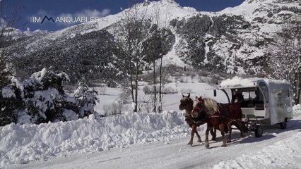 Le Trotti'bus - Les Immanquables 2014