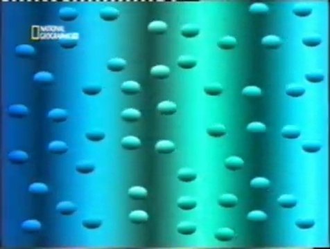 Cerebro: Percepcion del movimiento aparente