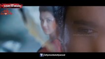 Yevadu Song Trailer - Cheliya Cheliya Song - Ram Charan Tej, Sruthi Haasan, Allu Arjun, DSP
