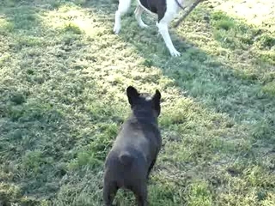 Too Many et Beauty jeux.