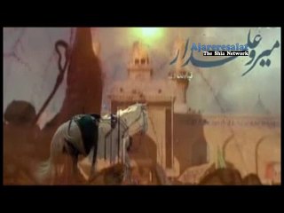 02.Doosra Abbas a.s Nahi - Shahid Baltistani 2012-13 - Urdu