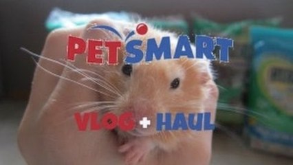 Small PetSmart Vlog & Haul