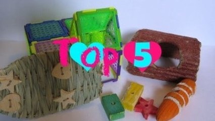Top 5 Favorite Hamster chews and toys