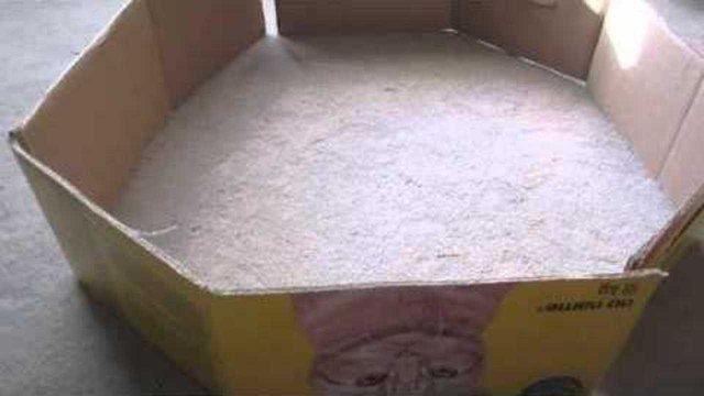 HOW TO MAKE A HAMSTER PLAYPEN