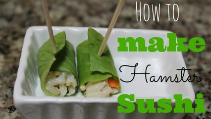 How to make HAMSTER SUSHI!